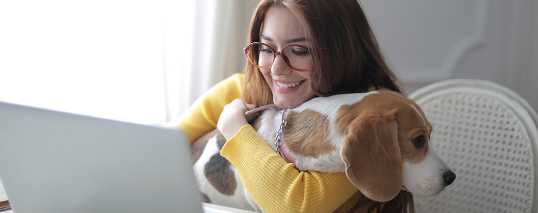 Bring your Dog to Work